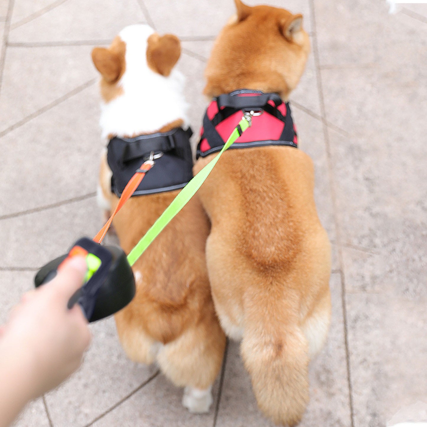 Anti Tangle Double Leash for two dogs, Tangle-Free Swivel, 3m Double-Headed Traction Rope